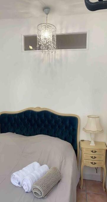 Magnifique Appartement Plein Coeur Avignon Intra-Muros 외부 사진